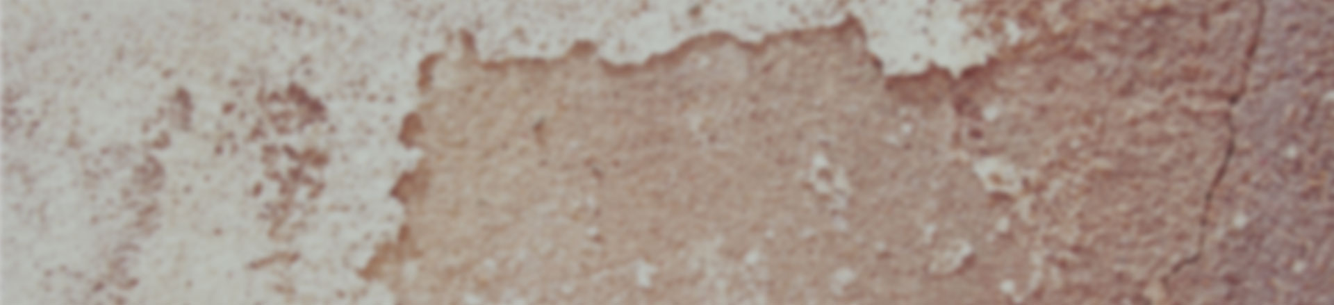 网站攻击软件工具