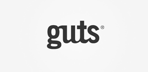 ip攻击器网页版ddos